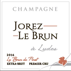 Carton de Champagne  Le Brun de Pinot - 6 bouteilles